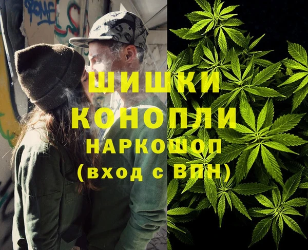 шишки Богородицк